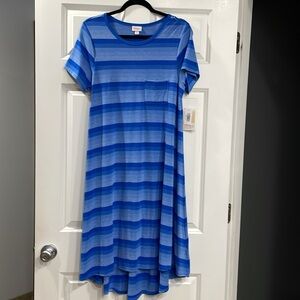 NWT LuLaRoe Carly size small. Blue variant stripe.